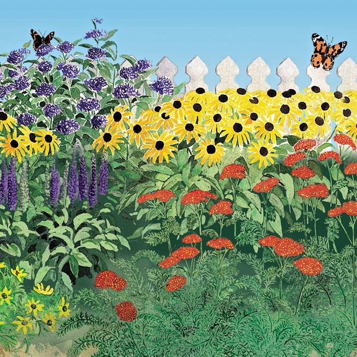 Large Butterfly Paradise Pre-Planned Cottage Garden - Image 3